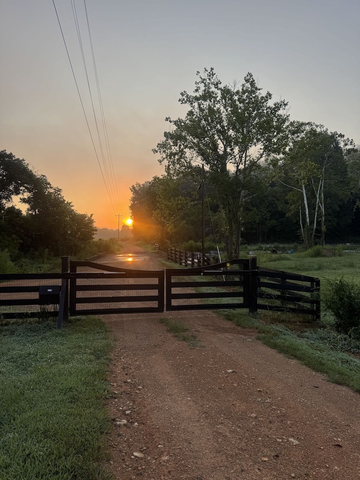 Farm gate and rural driveway at sunrise