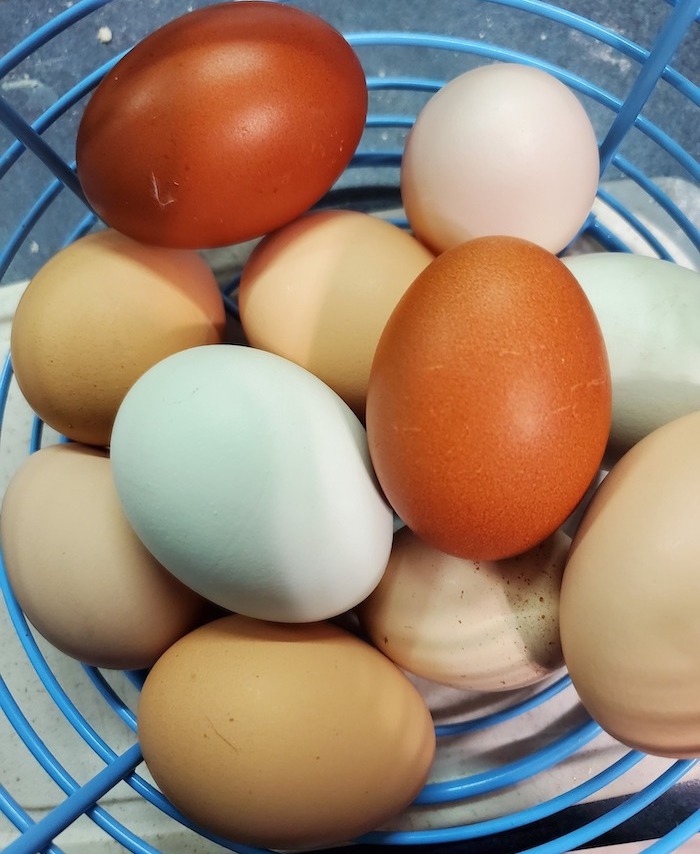 Eggs from Half Acre Homestead in a blue wire basket.