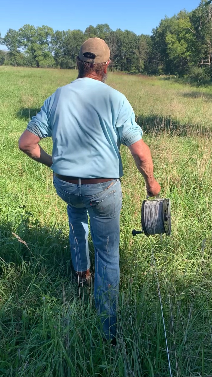 A farmer walks through tall pasture carrying a reel of electric fencing wire, preparing for the next grazing move.